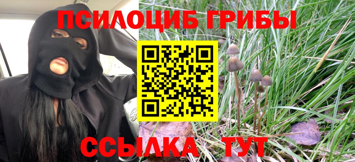 Псилоцибиновые грибы мухоморы Ухта